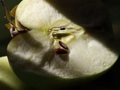 �������� ��������: ���� � ����� � ������������ �� ������������