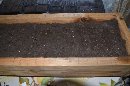 ����� � ��� ��������� ����� ������: ������ ��� �������� �������