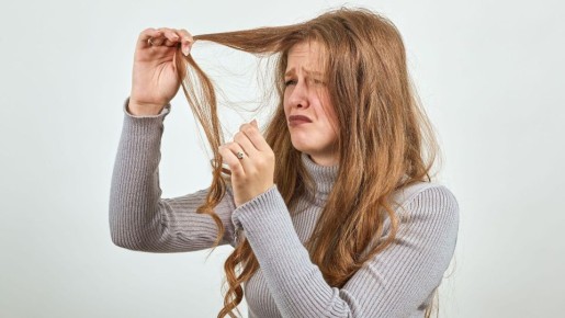 ������� ������ ������������ ��������: �������� �� ������ �� ��� �������