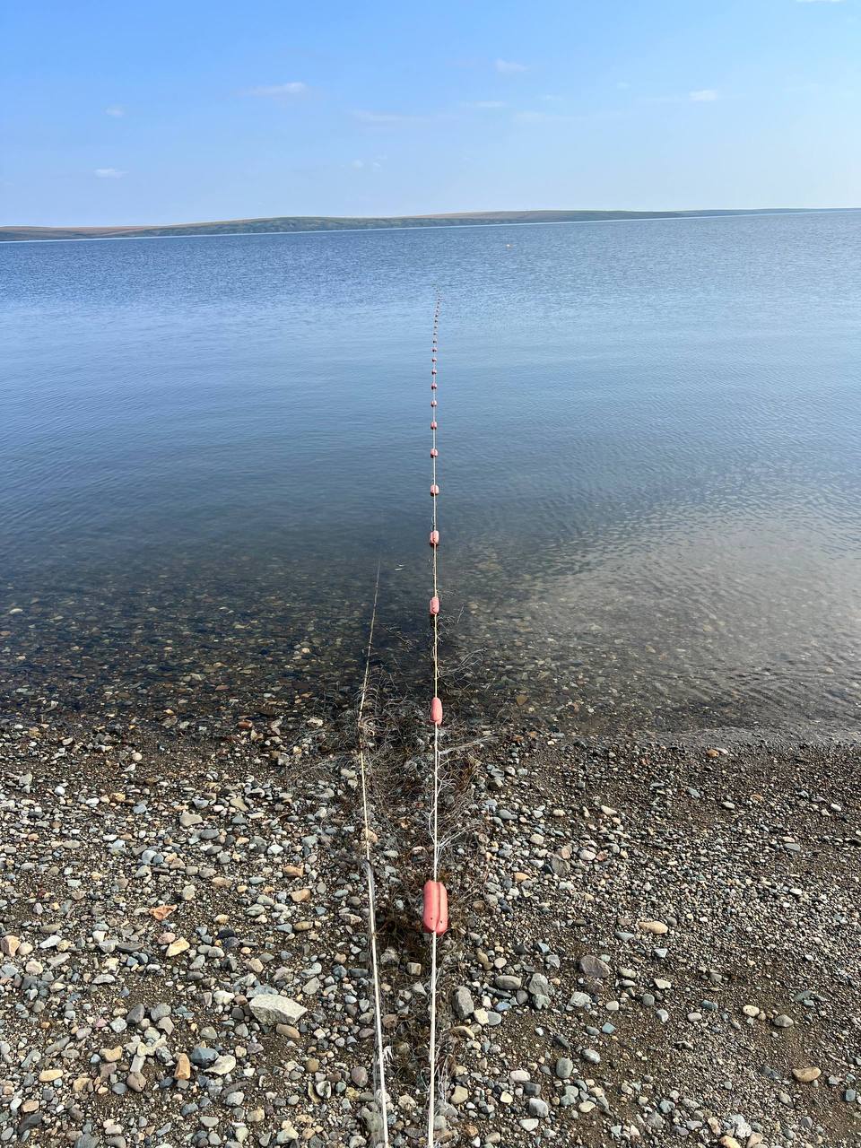 Утверждено обвинительное заключение по уголовному делу о браконьерстве Утверждено обвинительное заключение по уголовному делу о браконьерстве
