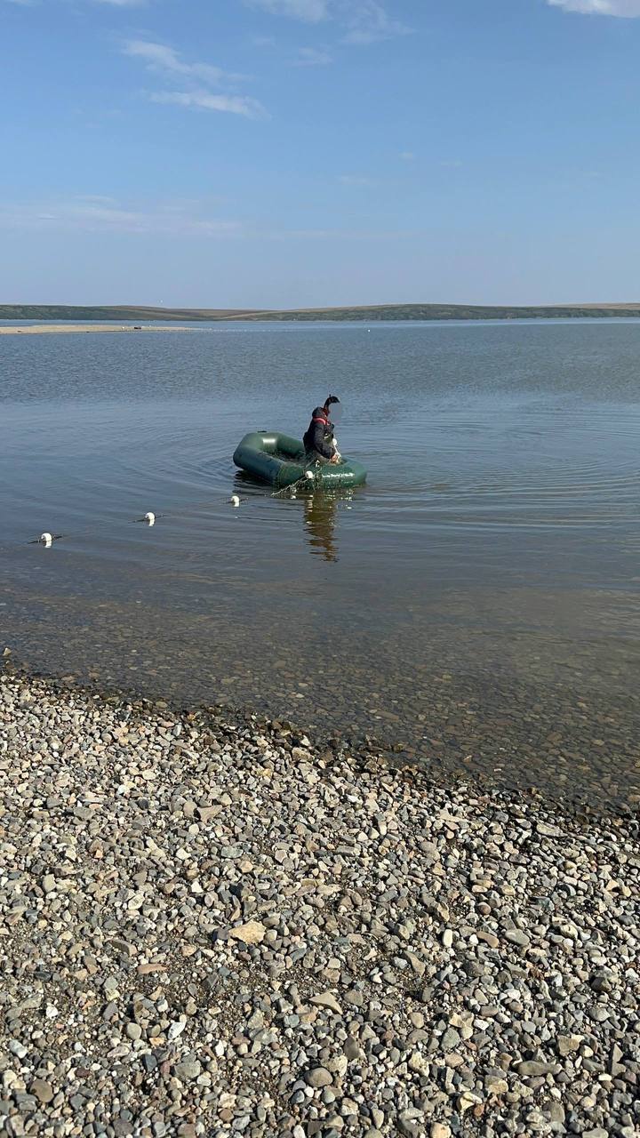 Утверждено обвинительное заключение по уголовному делу о браконьерстве Утверждено обвинительное заключение по уголовному делу о браконьерстве