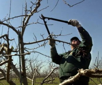 ����� � ����: ����� ��� ������ �������� ��������