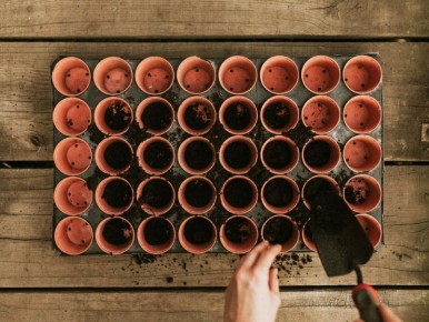 ������ � �������: ���� � �������� ��������� ��������