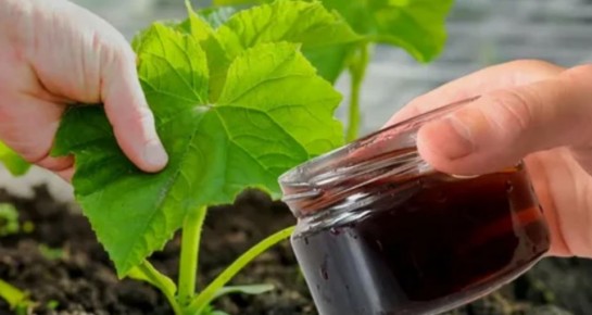 ������: ������ ������ ��� ��������� �����