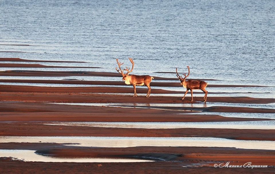 �� ������� ����� ������ ������������� � ��������� �� ��������� ������������ ������ ��.��.������� � ������������� ������ ��������