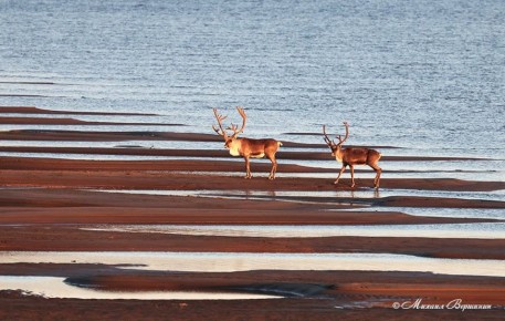 �� ������� ����� ������ ������������� � ��������� �� ��������� ������������ ������ ��.��.������� � ������������� ������ ��������