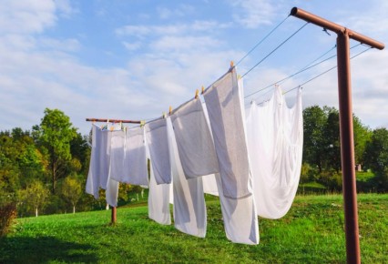 ��������� ������� ����� �����: �������� � ������������ ����� � 2026 ����