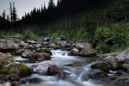 ������� ��� �������: ����� ������������� ������ ����������� �� ����� ������������