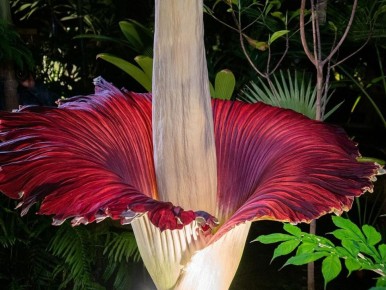 ������������: ������ ������� � ������ ������