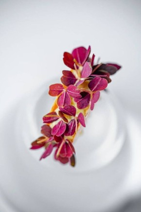 ������ �� ���� � ��������� ��������: ������ �������� ������