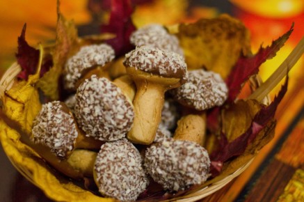 ������� "��������": �������� ��������, ���������� ���������