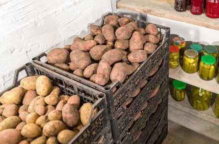 ������� �������� ��������: ��� �������� �������� �� ����