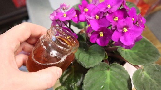 ������ � ������� ������� � ������ ������