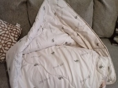 ���� �� �������� �� ���������� ������: ������� ������ � �����