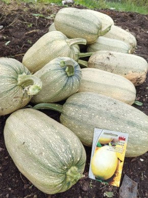 ������� ��������: ��� ��������� �������� ����� �� ����