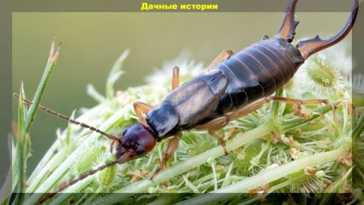 ���������: ����������� ���� ��� ������� ���� ������ ����?