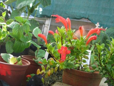 ��� ���������� ������ ���� �����: ������� ����� �� ����������� ���������