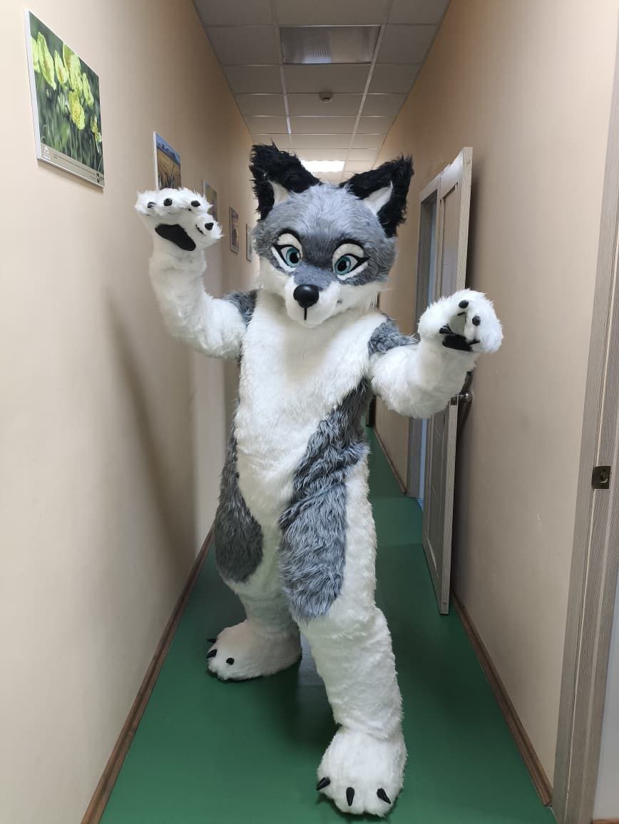 Чукотский район ежегодно принимает участие в программе инициативного бюджетирования Чукотский район ежегодно принимает участие в программе инициативного бюджетирования