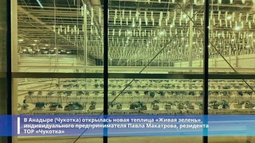 Вспоминаем основные события прошедшего 2025 года на Дальнем Востоке