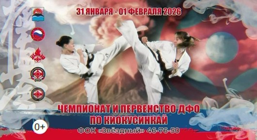 Чемпионат и первенство ДФО по киокусинкай! Курс на Камчатку