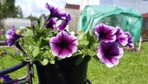 ����������� 2026: ��� ������ ���� �������� � ���� ������