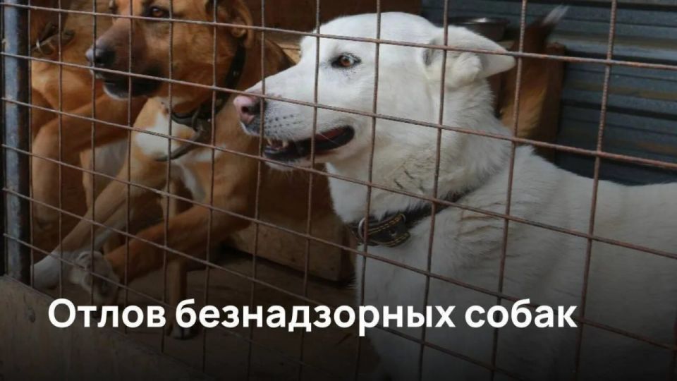 ��������� �� �� ����� � �������� �� �� ������