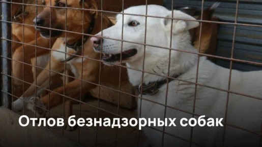 ��������� �� �� ����� � �������� �� �� ������