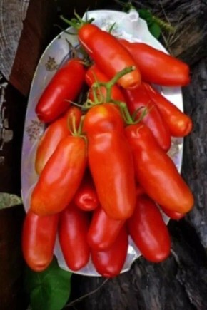 ����� ������: ������� ��������� ������ � �������� �����������