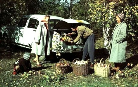 ������� ����� � ���� ������� �������������� � ������� ��������