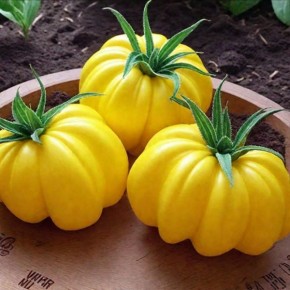 ����� ������� �������: ��������� ������ �� ������������� ������ � �������