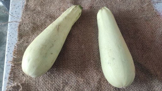 ��� ����������� ������ �� ������� � ���������� ������ � ������ �������