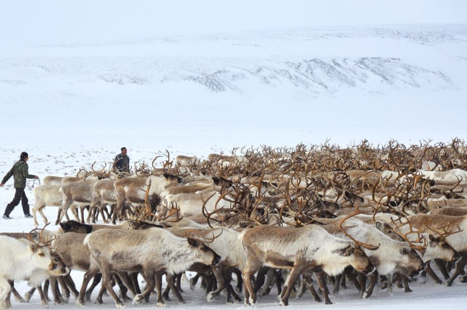 �������� � ��������������� ���������� ���������� ������ �������� ������ �������