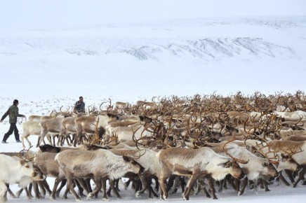 �������� � ��������������� ���������� ���������� ������ �������� ������ �������