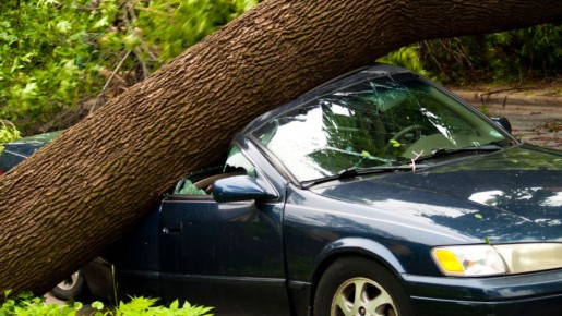 Гром бытовых неожиданностей: как простая ситуация приводит к судебному выводу