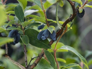 ��� ��������� ��������� ���, ����� ������ ��� ������� ������� ������� ����