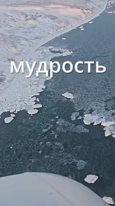 Чукотка — какая она? Секрет в многообразии