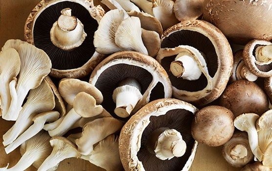 �����: ������� ��������� ��� ������� ������?