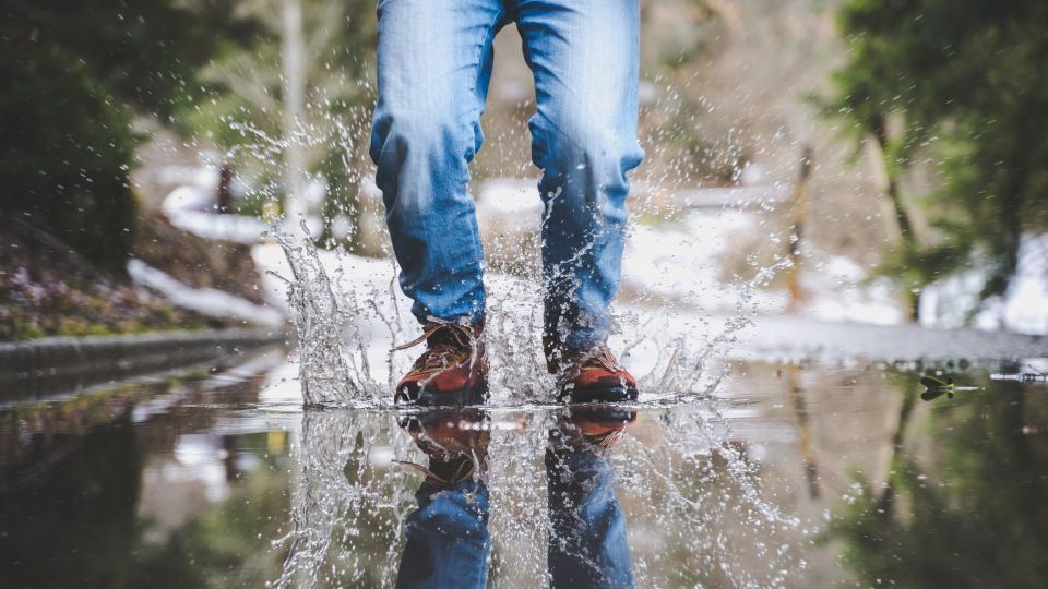 ������ ��������� ������� ���� � �����: ��� ��� � ���� ������ ������ ����