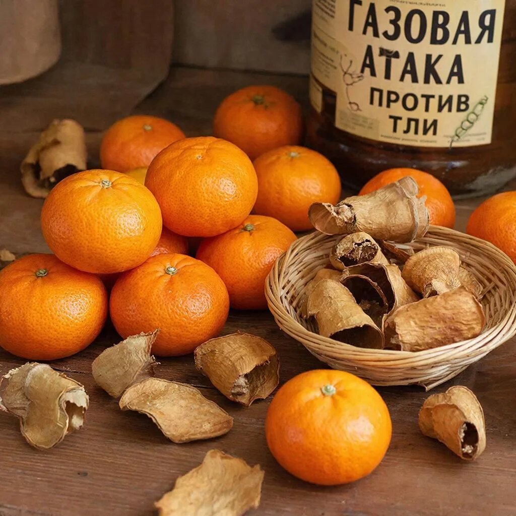 Как превратить мандариновые корки в «оранжевое золото» и устроить натуральную газовую атаку на тлю