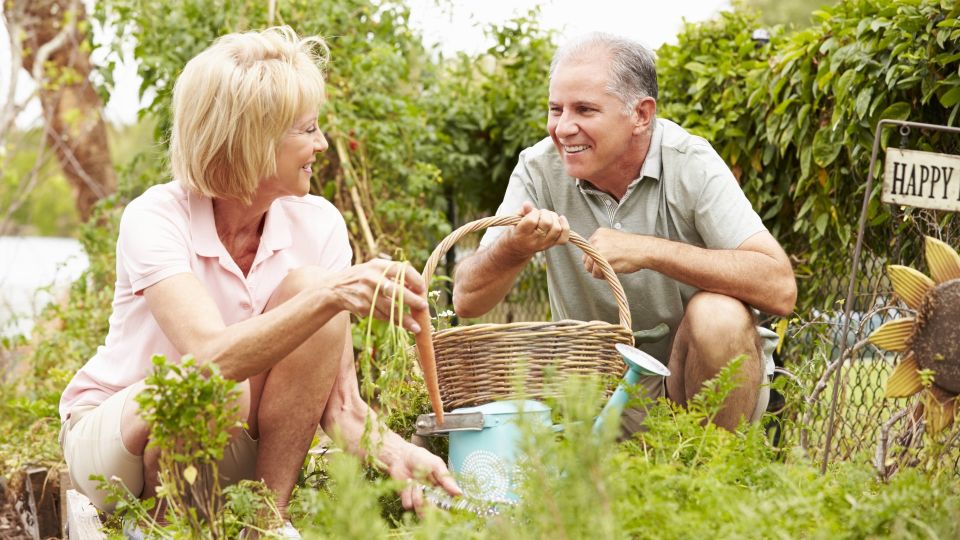 � ���� �� ���� ��������� ������ ���: ����� �������� ��������� � ��������