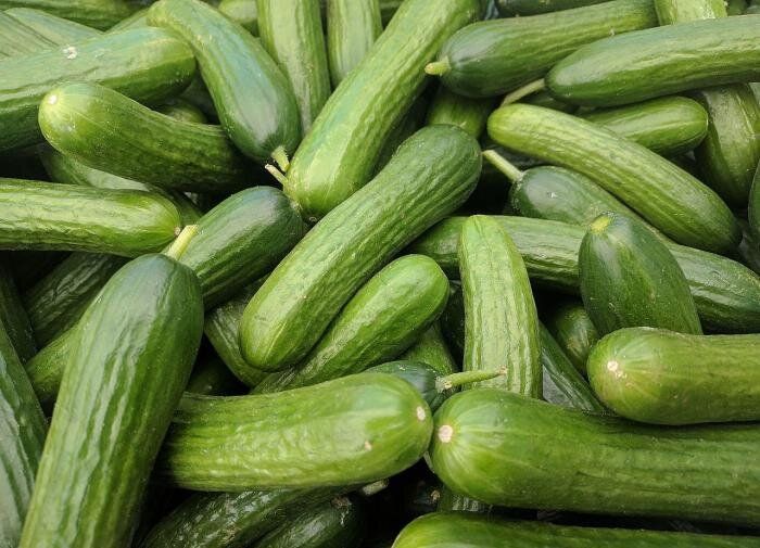 Как вырастить идеальные огурцы: пять секретов успеха