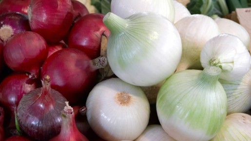 ������ ���� �������� ���� ����� ���: ������ �������� ��� ���� ���������