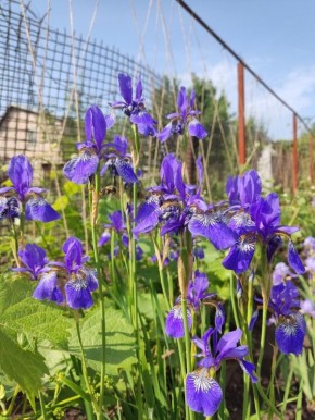 ������� ������ � ����: ����� �����������, � ����� ������������?