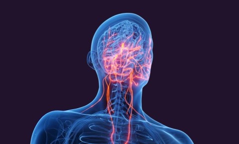 ��� ������������ �����: ������� ������ ��� ��������� ��������