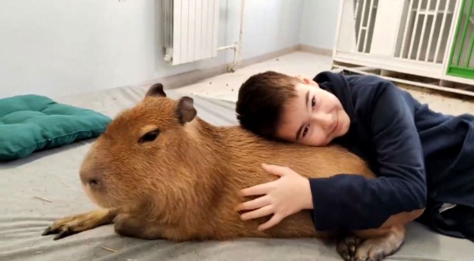 Новогоднее чудо для юного жителя Чукотки: полпред Юрий Трутнев помог исполнить мечту о встрече с капибарой