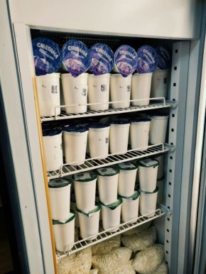 � ������������ � �����, ������, �������