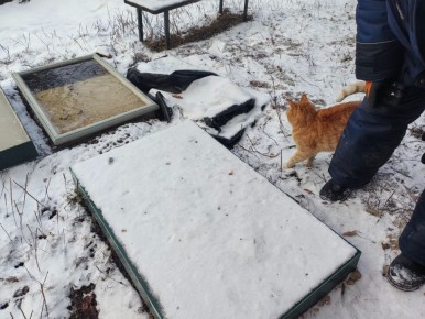 ����� ������� �� ������� �������������� �������� � ��� �� ������