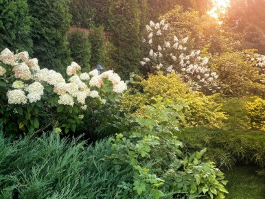 ���, ������� ���������� ���: ��� ������� ����� ��� ������ ������