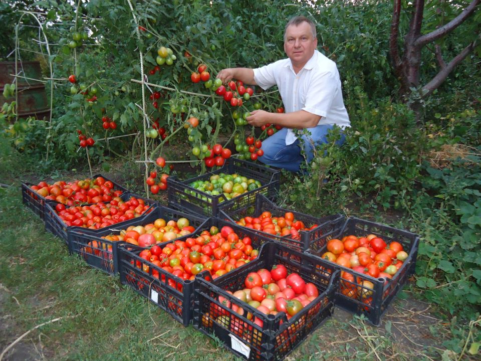 ��� ������� ������������ ��������: ���� � �������� ��� ������� � ��������?