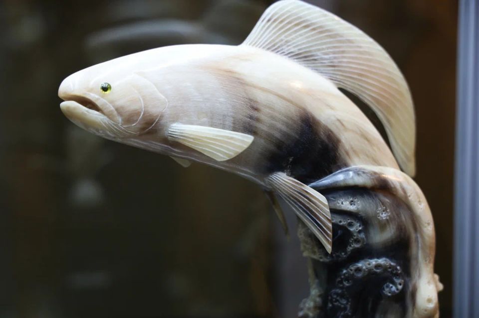 ������� � �������: � ������� ��������� �������� ������������� �������